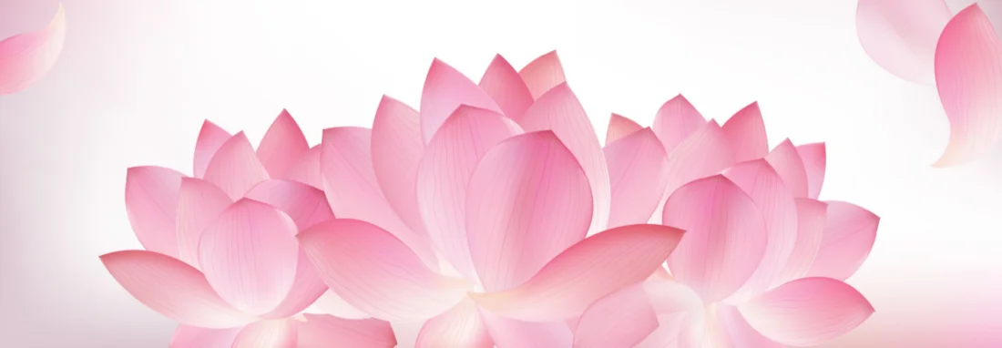 About PraveenSaanker